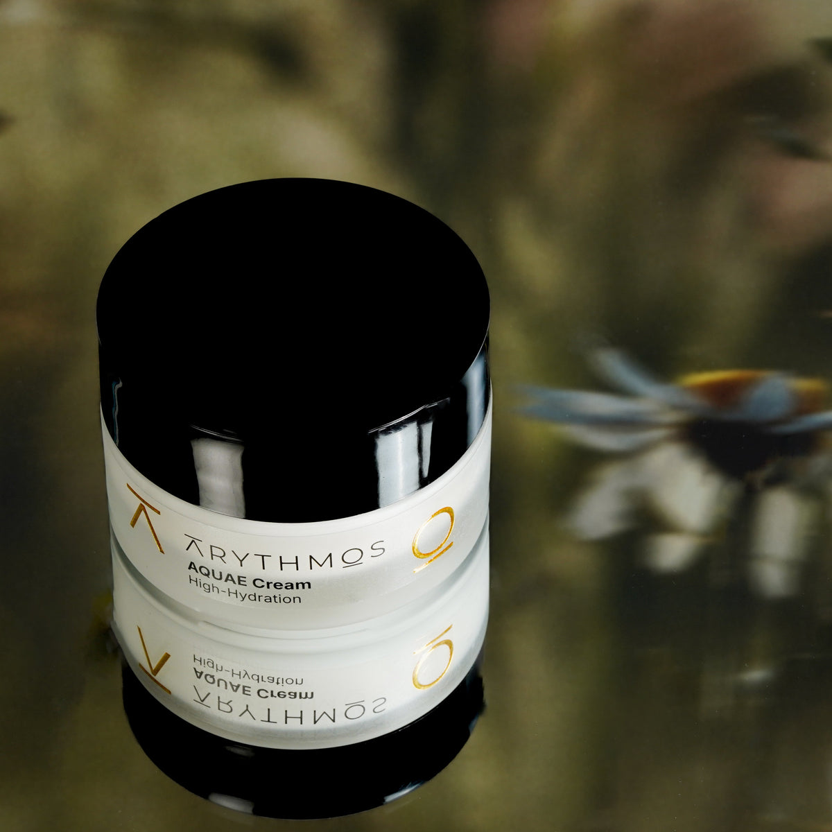 AQUAE CREAM High-Hydration
